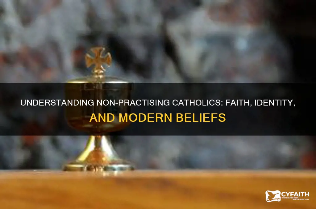 what is a non practising catholic