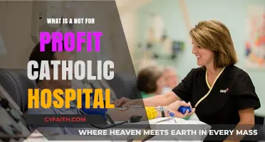 Understanding the Mission of a Not-for-Profit Catholic Hospital