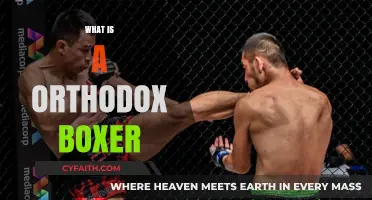Understanding the Orthodox Boxing Stance: Techniques and Advantages Explained