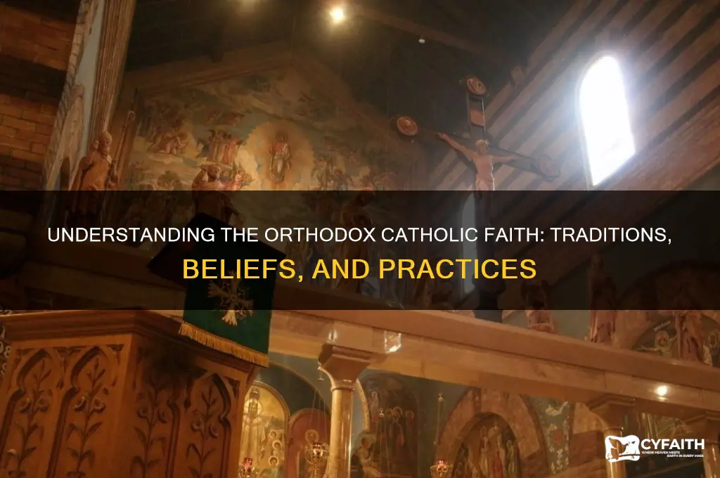 what is a orthodox catholic