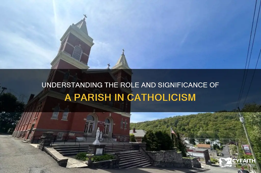 what is a parish catholic