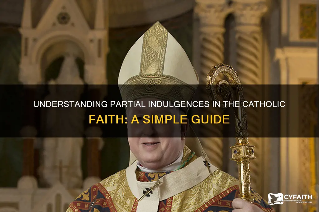 what is a partial indulgence catholic