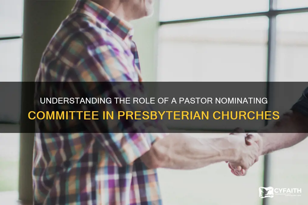what is a pastor nominating committee at a presbyterian church