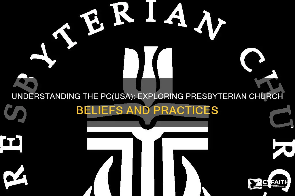 what is a pc presbyterian church