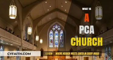 Understanding the PCA Church: Beliefs, Practices, and Community Explained