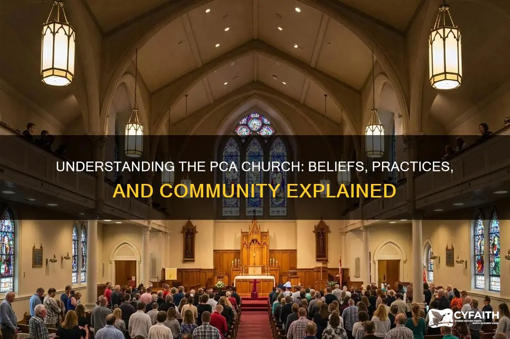 what is a pca church