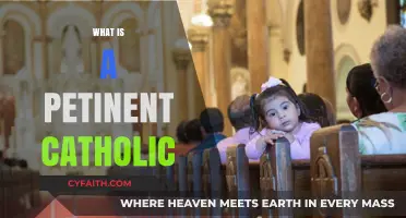 Understanding the Role and Significance of a Pertinent Catholic Today