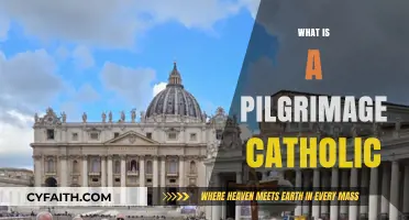 Understanding the Sacred Journey: What is a Catholic Pilgrimage?