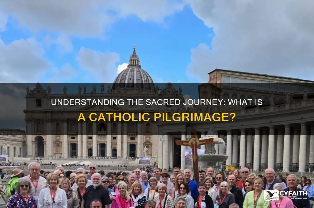 what is a pilgrimage catholic