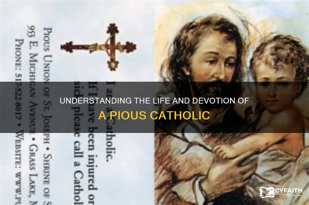 what is a pious catholic