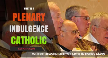 Understanding Plenary Indulgence: A Catholic Guide to Full Remission