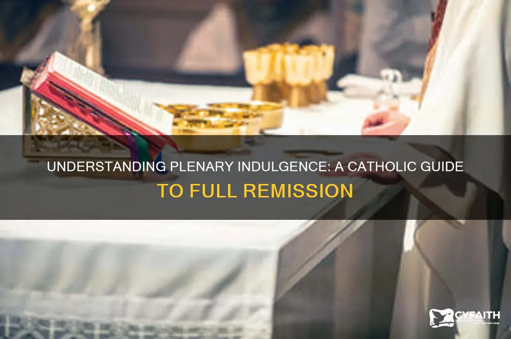 what is a plenary indulgence catholic