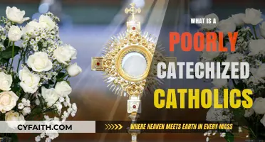Understanding Poorly Catechized Catholics: Challenges and Paths to Renewal