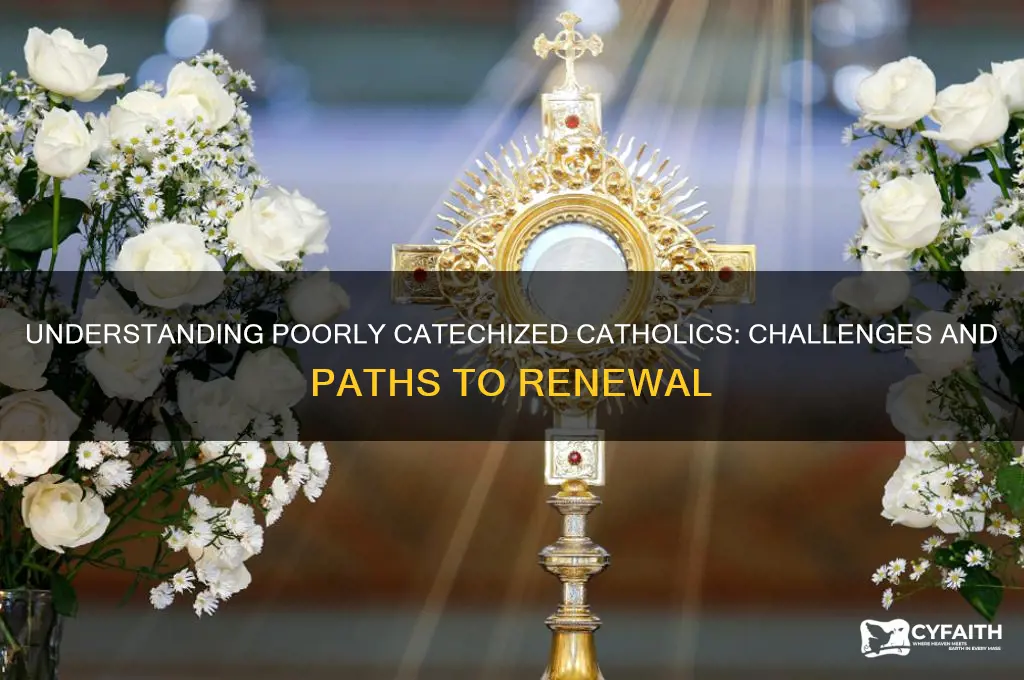what is a poorly catechized catholics