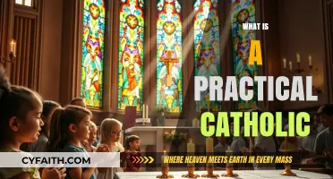 Living Faith Daily: Understanding the Practical Catholic Lifestyle