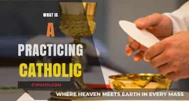 Understanding the Faith and Practices of a Devout Catholic