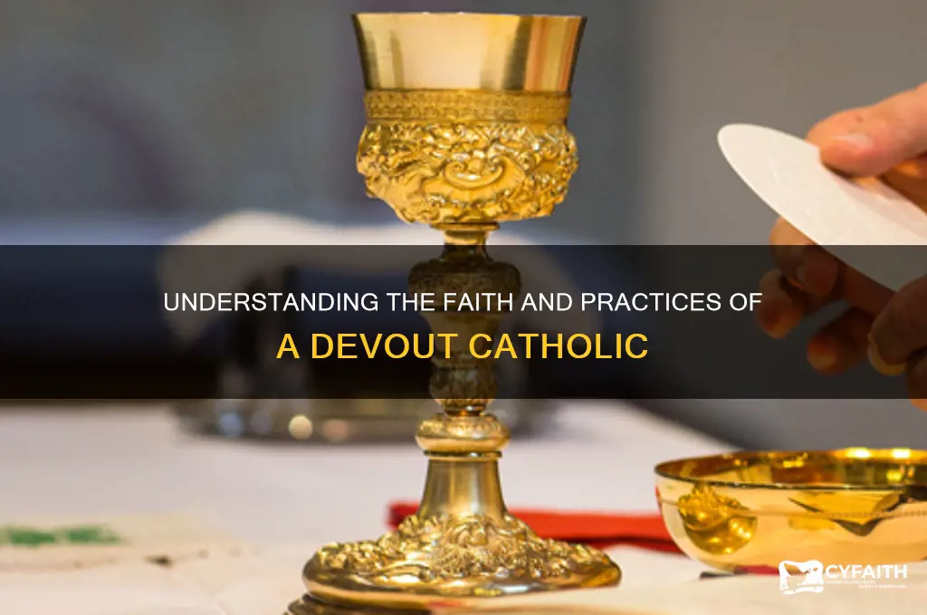 what is a practicing catholic
