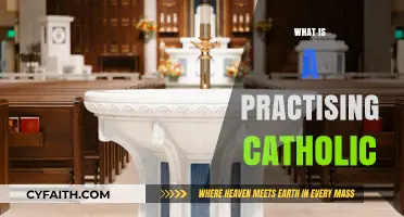 Understanding the Faith and Practices of a Practising Catholic