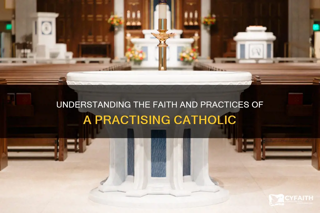 what is a practising catholic