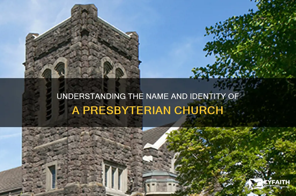 what is a presbyterian church called