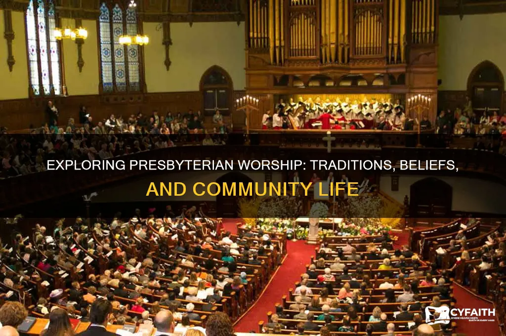 what is a presbyterian church like