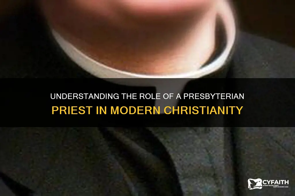 what is a presbyterian priest