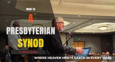 Understanding the Role and Structure of a Presbyterian Synod