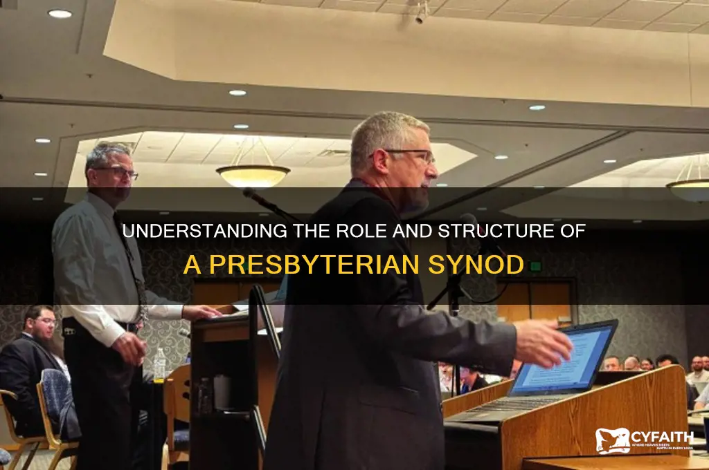 what is a presbyterian synod