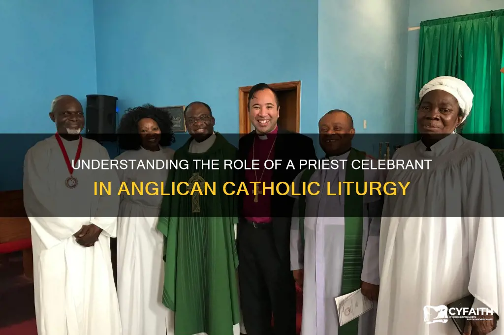 what is a priest celebrant in an anglican catholic church