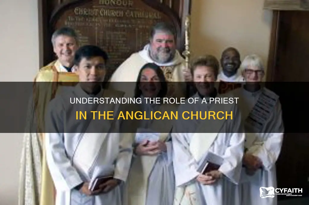 what is a priest in the anglican church
