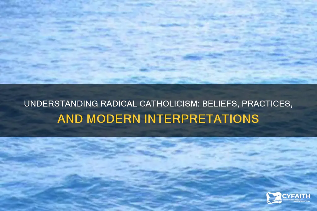 what is a radical catholic