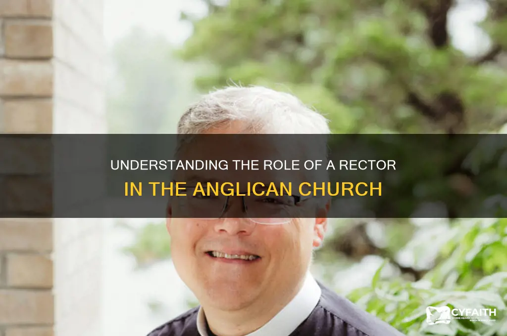 what is a rector in the anglican church
