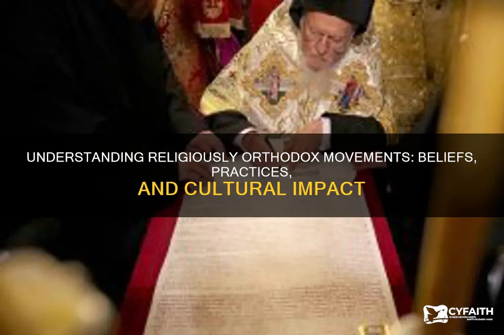what is a religiously orthodox movement