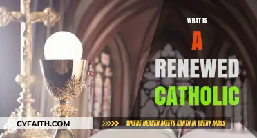 Renewed Catholic: Embracing Faith, Tradition, and Modern Spiritual Growth
