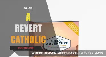 Understanding the Journey of a Revert Catholic: Faith Rediscovered