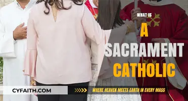 Understanding the Catholic Sacraments: Meaning, Purpose, and Significance