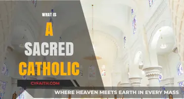 Understanding the Sacred Catholic Faith: Beliefs, Practices, and Traditions