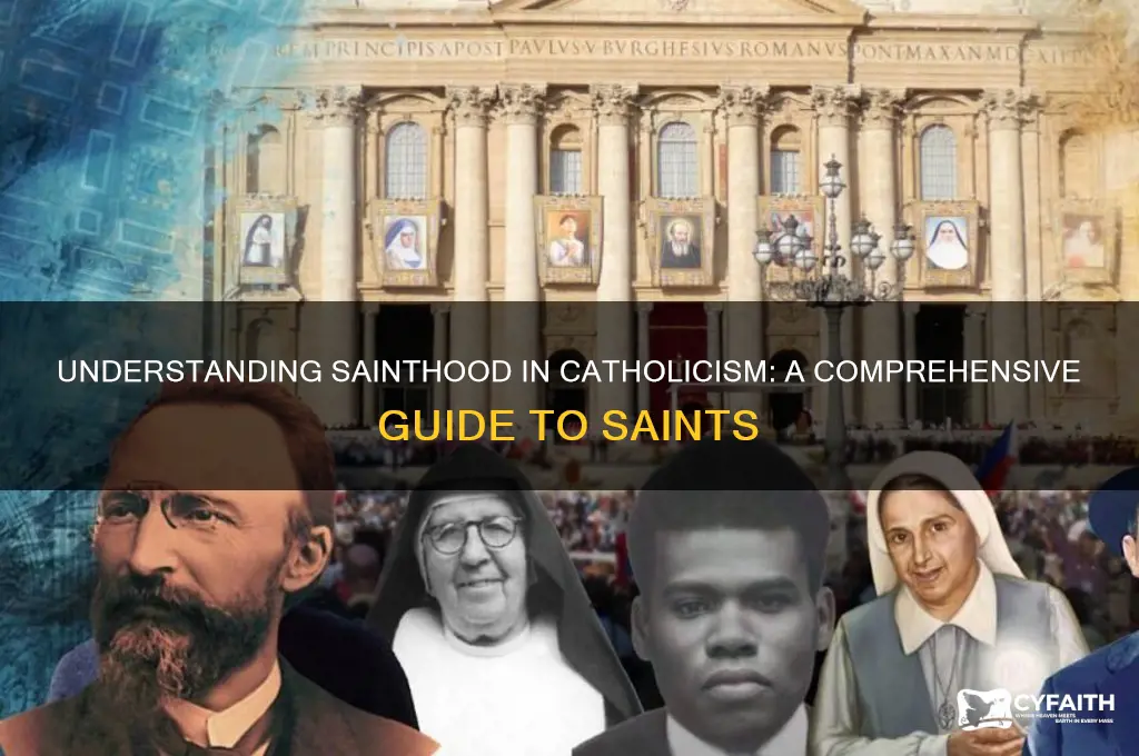 what is a sain catholic