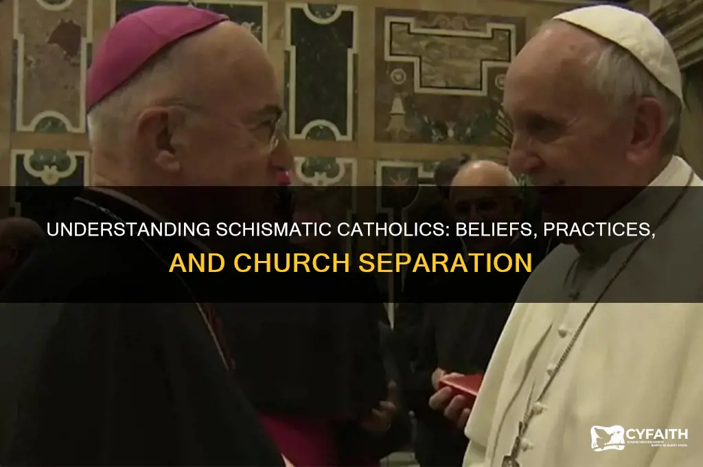 what is a schismatic catholic