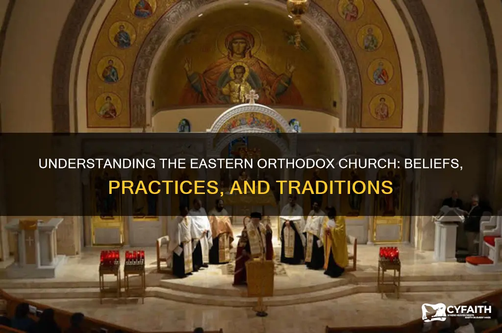 what is a see orthodox