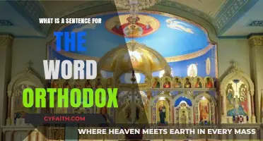 Understanding Orthodox: A Clear Sentence Example and Its Meaning