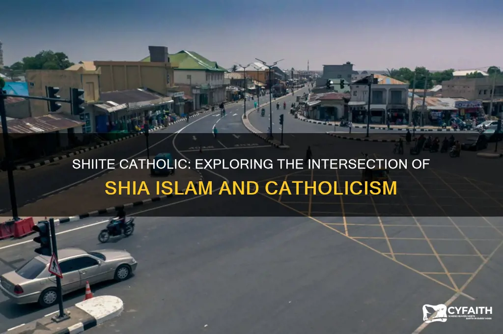 what is a shiite catholic