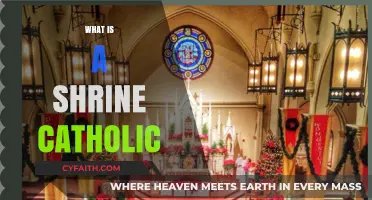 Understanding Catholic Shrines: Sacred Spaces of Faith and Devotion