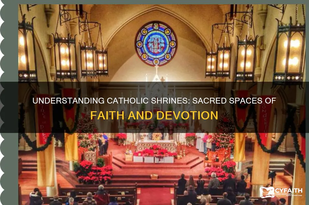 what is a shrine catholic