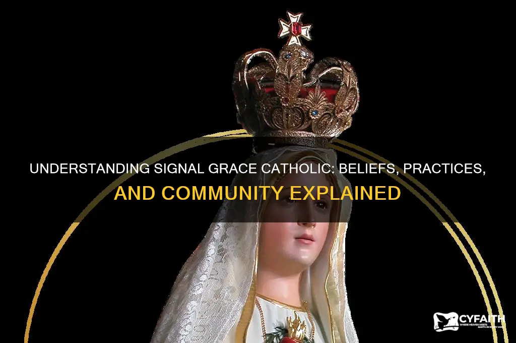what is a signal grace catholic