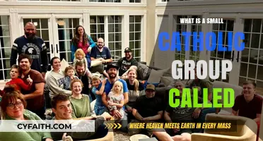 Understanding Small Catholic Communities: What Are They Called?