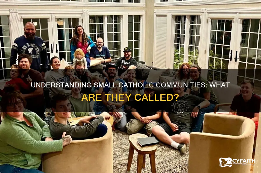 what is a small catholic group called