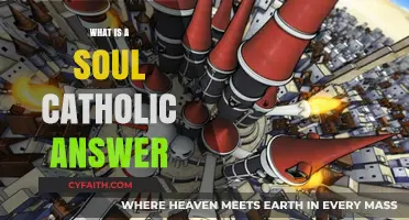Understanding the Catholic Perspective: What is a Soul?