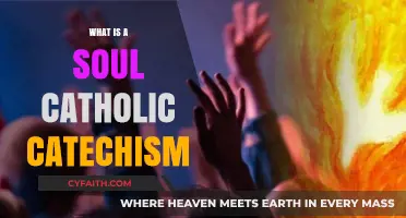 Understanding the Soul: Catholic Catechism's Teachings on Human Essence