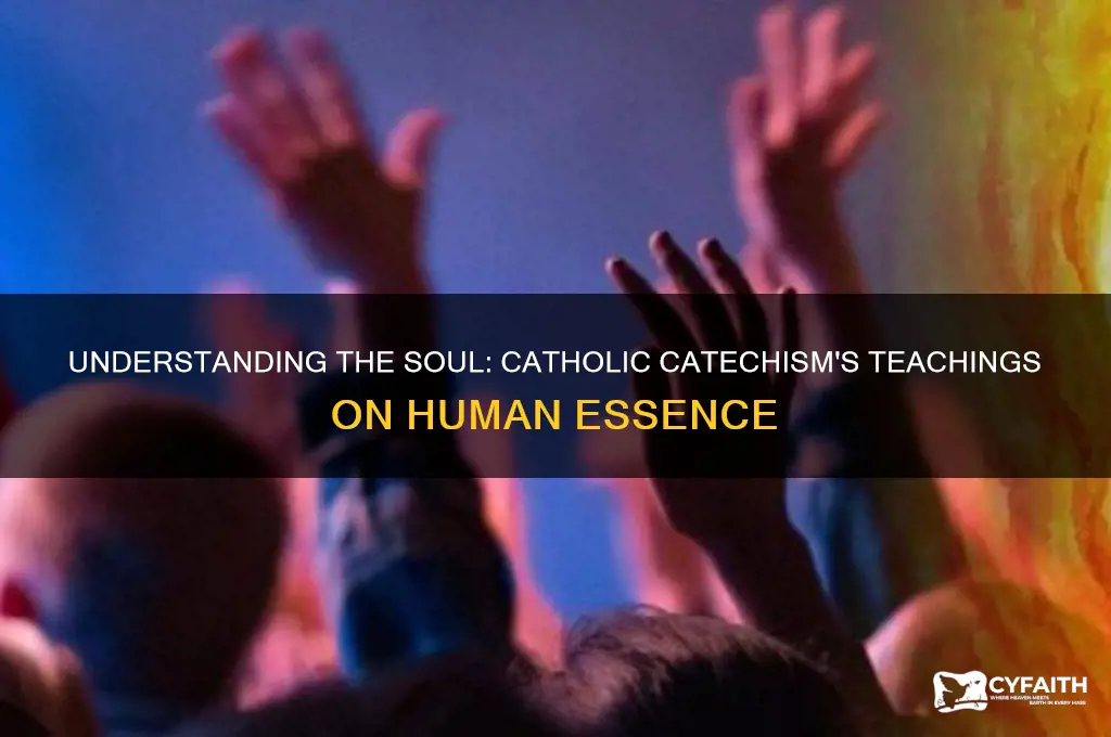 what is a soul catholic catechism